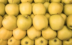 黄皮苹果是哪个品种？