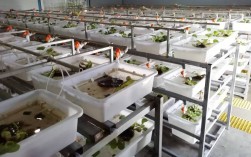 黄鳝养殖技术与行情，前景如何？