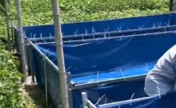 池塘网箱养黄鳝，关键技术有哪些？