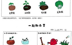 早春白菜怎么种？关键步骤有哪些？