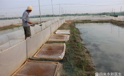 湘莲池套养小龙虾，如何实现双丰收？