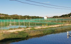 贵州淡水对虾苗养殖技术要点有哪些？