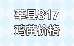 今日817鸡苗价格多少钱？