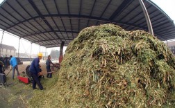 玉米秸秆发酵菌肥技术怎么用？