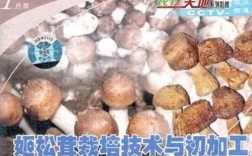 蘑菇栽培管理视频，关键技术要点有哪些？
