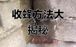蜜蜂诱捕技术怎么学？视频教学教你轻松掌握。