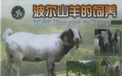 波山羊养殖技术视频怎么学才有效？