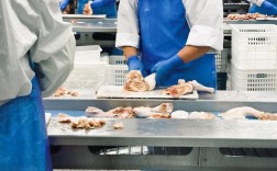 动物内脏加工饲料技术安全吗？