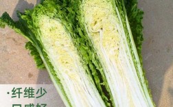 青麻叶大白菜有哪些常见品种？