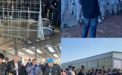 野鸡养殖技术培训学校怎么选？