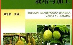 菠萝蜜种植加工技术有哪些关键要点？