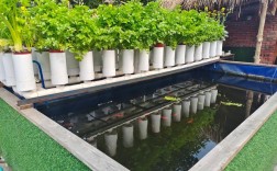 农广天地流水养鱼技术怎么学？