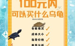 2025年食用龟价格会涨还是跌？