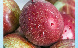 最新红梨品种有哪些？图片展示哪种最好看？