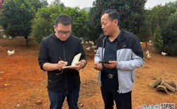 泰和乌鸡养殖技术要点有哪些？