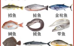 水产品种有哪些？分类及图片在此。