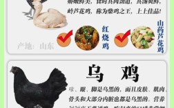 如何快速分辨家养鸡的品种？