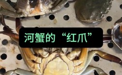 辽河河蟹成蟹养殖技术要点有哪些？