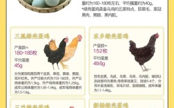 什么品种的蛋鸡产蛋多