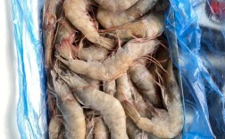 南美白对虾取代品种有哪些优势？