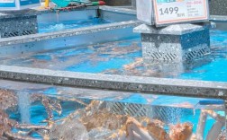 天津今日海蟹价格多少钱一斤？