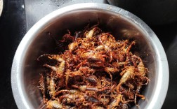 蝎子最有效的脱皮技术