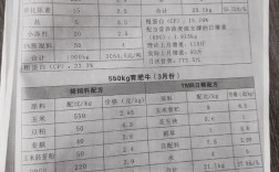 牛饲料排行怎么选？养牛技术有哪些关键？