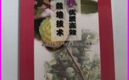 荔枝优质高效栽培技术有哪些关键要点？