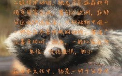 貉子配种前怎么饲养才好？