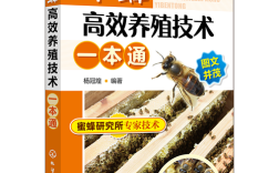 中华蜜蜂养殖技术有哪些关键要点？