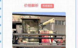 2025年水稻价格会涨还是跌？