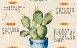 仙人掌品种有多少？看图识种全攻略？