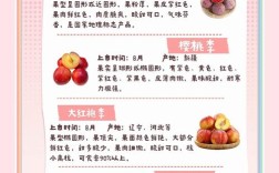 李子品种照片有哪些常见种类？