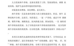 肉牛养殖技术指导方案有哪些要点？