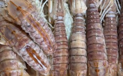 北海虾价格多少钱一斤？