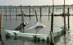 水库养蟹技术视频，关键要点有哪些？