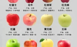 苹果常见品种有哪些？