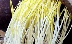 蒜黄种植技术有哪些关键步骤？