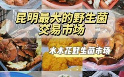 今年蘑菇价格真的好转了吗？