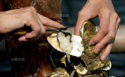 牡蛎养殖技术CCTV如何助力产业升级？