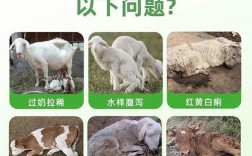 羊羔拉稀用什么药治？