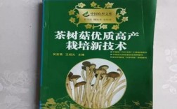 茶树菇如何实现高产栽培？