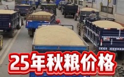 2025秋稻价会涨还是跌？