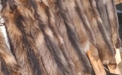 今年尚村貉皮价格为何波动？