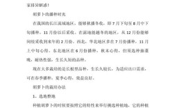 胡萝卜种植技术要点有哪些？