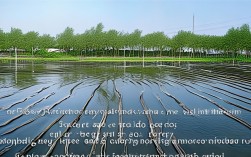 南海九江镇水产养殖面积，南海九江产业