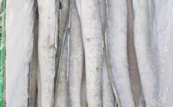 年带鱼批发价格行情查询