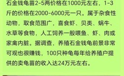 石龟2025年价格预测