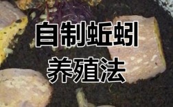 室内蚯蚓如何快速养殖？
