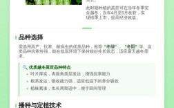 越冬莴苣怎么种才能安全过冬？